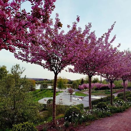Ferienwohnung Auszeit Losheim am See Dış mekan fotoğraf