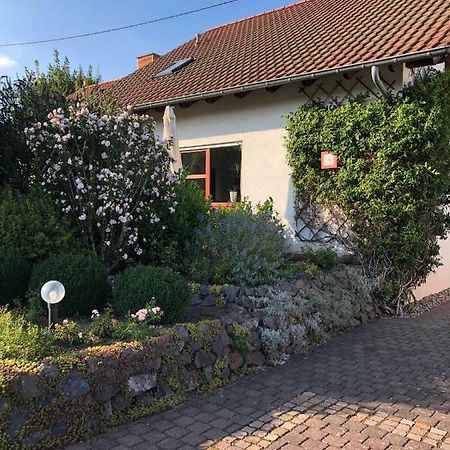 Ferienwohnung Auszeit Losheim am See Dış mekan fotoğraf