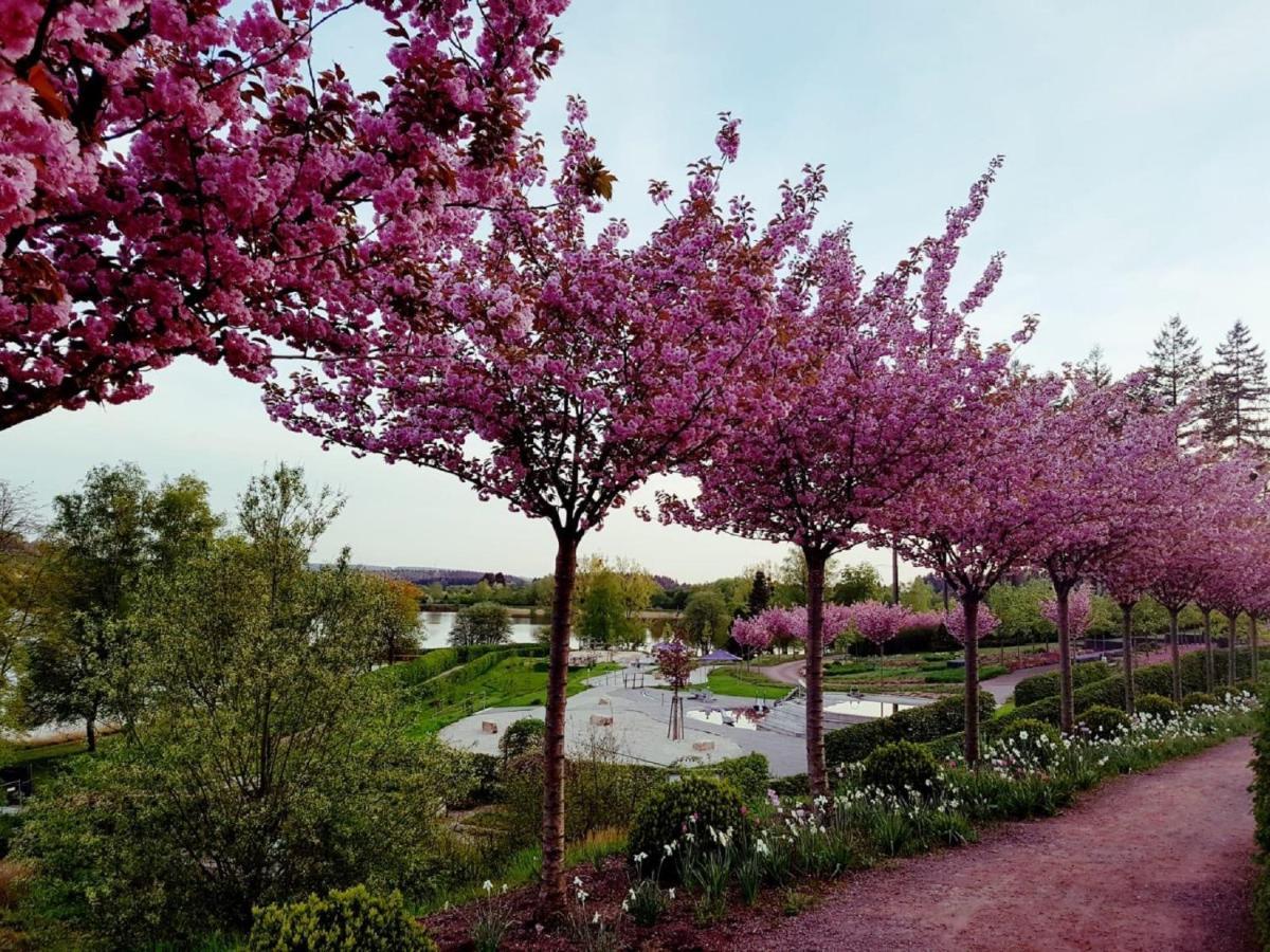 Ferienwohnung Auszeit Losheim am See Dış mekan fotoğraf